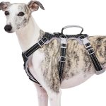 HUNTBOO Dog Lift Harness Reflective Handle Adjustable Fit-0