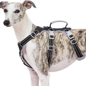 HUNTBOO Dog Lift Harness Reflective Handle Adjustable Fit-0