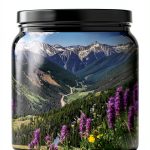 Moon Travel Colorado Guide Kindle Edition 11th Series-0