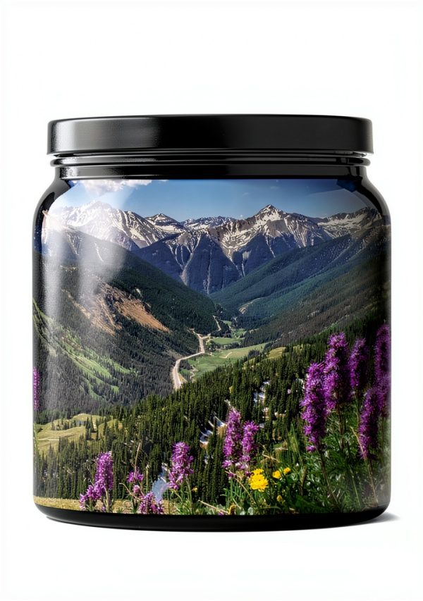 Moon Travel Colorado Guide Kindle Edition 11th Series-0