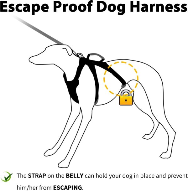 HUNTBOO Dog Lift Harness Reflective Handle Adjustable Fit-1
