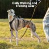 HUNTBOO Dog Lift Harness Reflective Handle Adjustable Fit-6