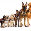 ALBCORP Service Dog Vest Reflective Nylon Harness Adjustable-2