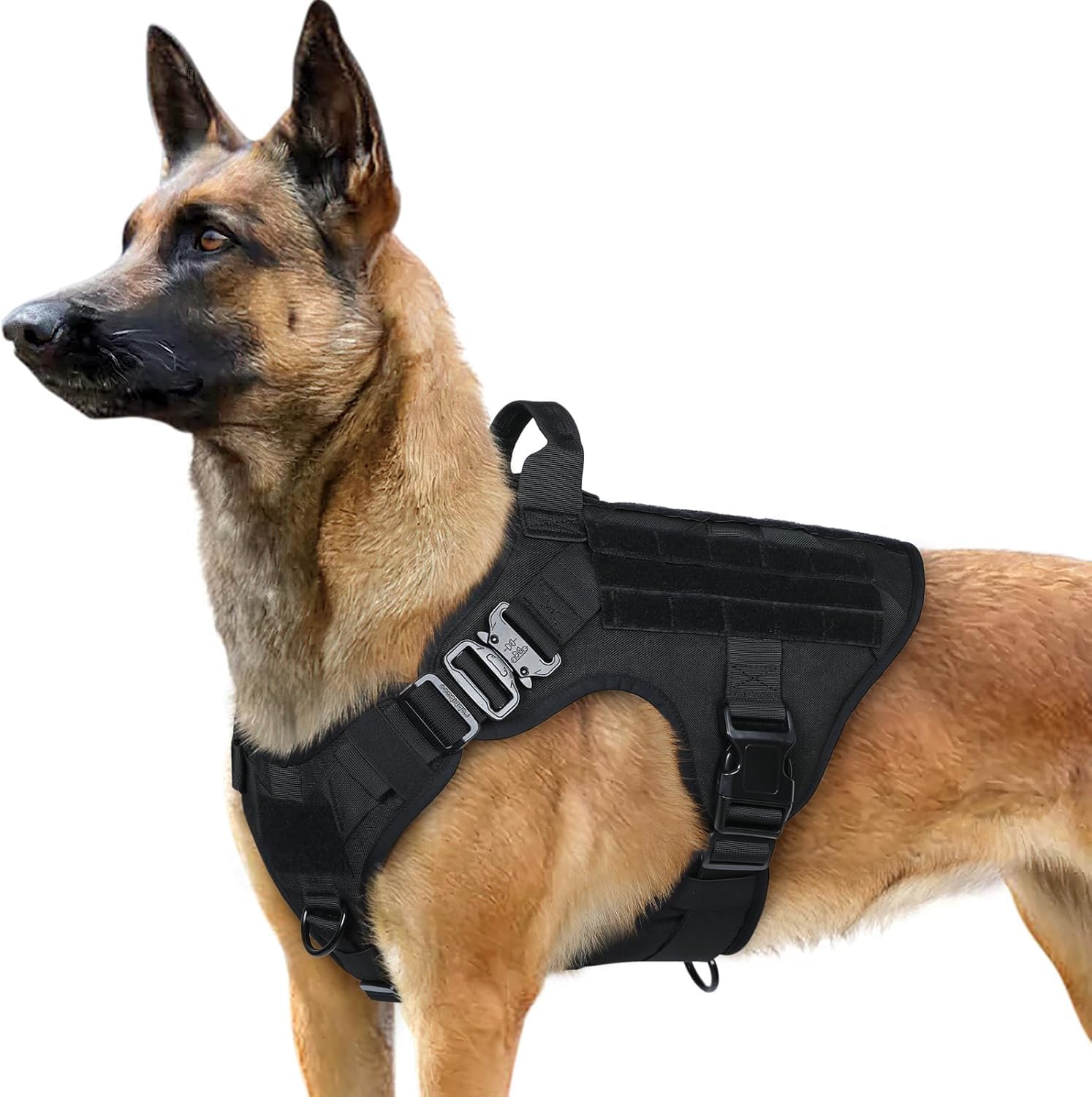 GLOBEGOU dog vest harness on a large breed dog in outdoor setting