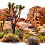 Kindle Travel Guide Pacific US Hiking Parks Campgrounds-0