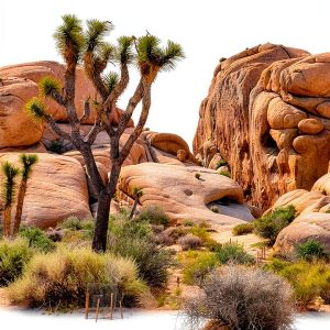 Kindle Travel Guide Pacific US Hiking Parks Campgrounds-0