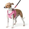 Puppia Dog Harness Polyester Air Mesh Small Dog Vest-3