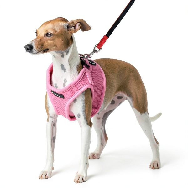 Puppia Dog Harness Polyester Air Mesh Small Dog Vest-3