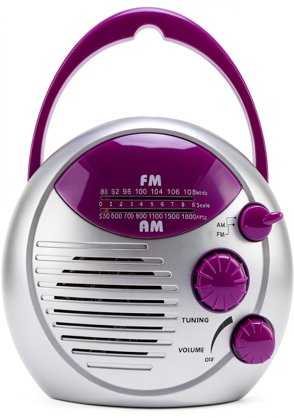 Pomya Portable Shower Radio ABS Material-0