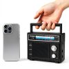 Portable AM FM Radio PRUNUS J136 Lightweight Dual Power-1