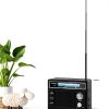 Portable AM FM Radio PRUNUS J136 Lightweight Dual Power-3